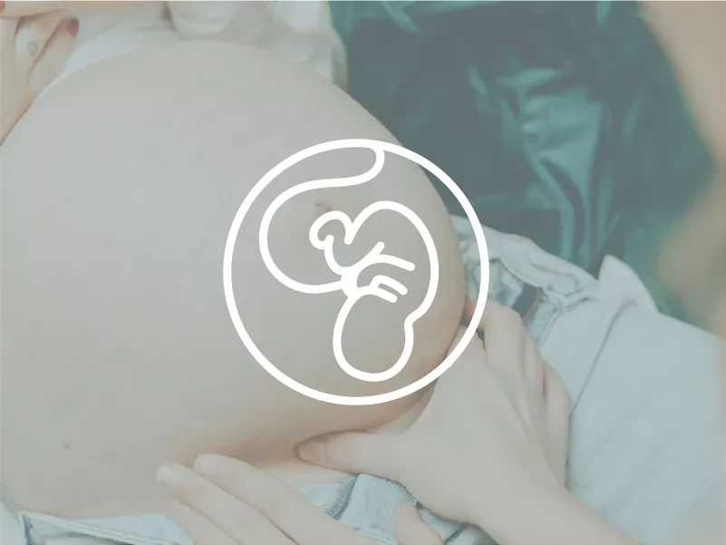 Stuitconsult